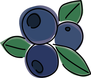 bilberry