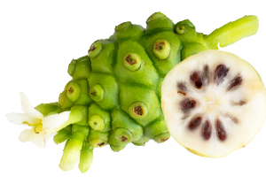 noni